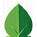 Icon of a leaf representing sustainable practices.